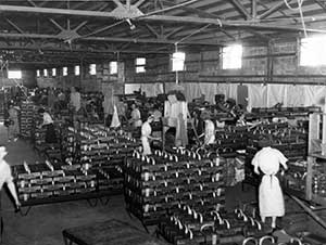 Greenhouse Vegetable Packing Company at Berea Fairgrounds