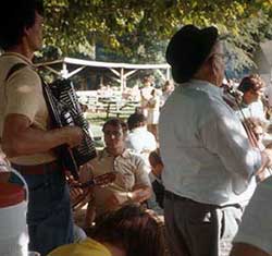 Musicians perform at Croatian picnic